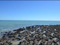 wa-hamelin-pool-stromatolites-121
