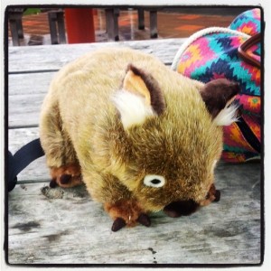 1512299_10203467802396801_5571962260854747061_n