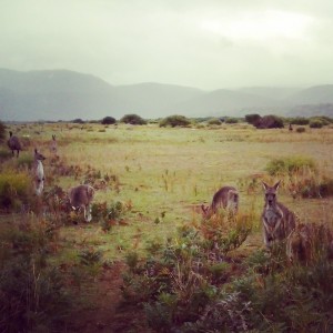 IMG_20140416_133900[1]