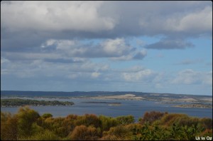 Vue sur American River