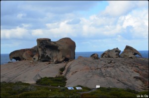 Remarkable Rocks