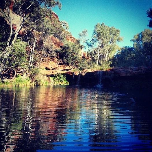 Fern Pool (qui a aussi des petites cascadounettes).