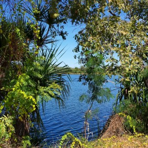Lily Creek Lagoon ou publicité Bounty...