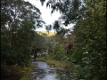 vic-gor-cumberland-river-08