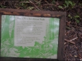 vic-gor-maits-rest-rainforest-boardwalk-02