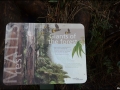 vic-gor-maits-rest-rainforest-boardwalk-05