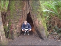 vic-gor-maits-rest-rainforest-boardwalk-10