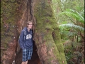 vic-gor-maits-rest-rainforest-boardwalk-11