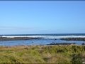 vic-gor-port-fairy-41