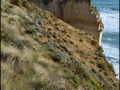 vic-gor-twelve-apostles-12
